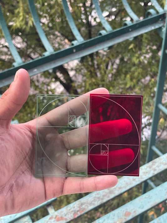 Fibonacci Spiral PIT//STOP Trading Card