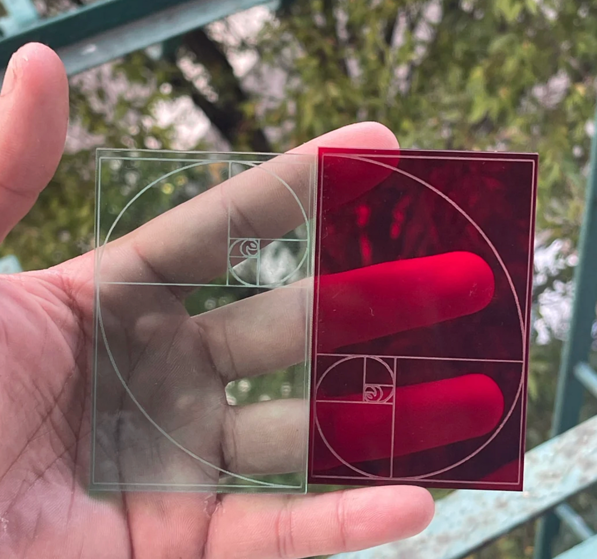 Fibonacci Spiral PIT//STOP Trading Card